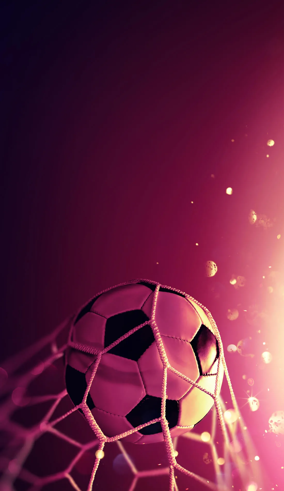 BFC Dynamo – Case Study